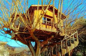 Το Πέτρινο Σπιτάκι - Foto 3