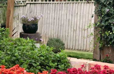 Linden Suite - Foto 54