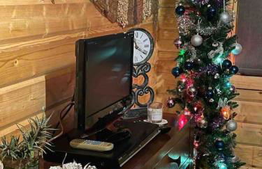 Family friendly sunny Log Cabin - Photo 31