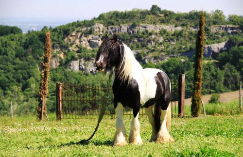 B&B Cà Bianca dell'Abbadessa - Foto 57