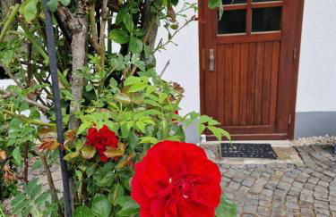 FeWo Fanissimo - Foto 37