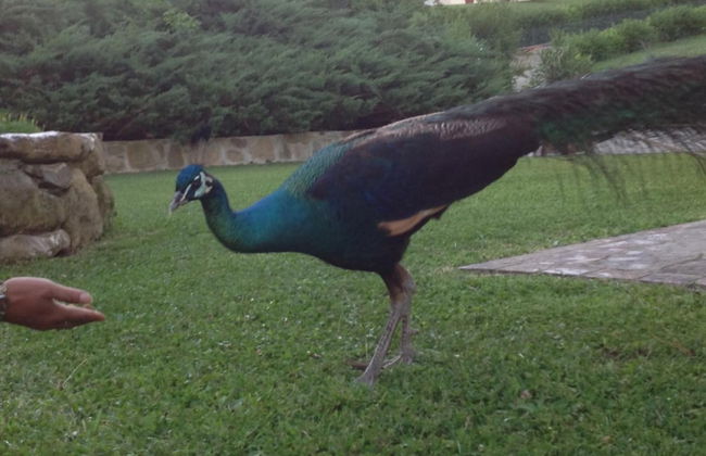 B&B da Ronald...a Pian del Papa - Foto 44