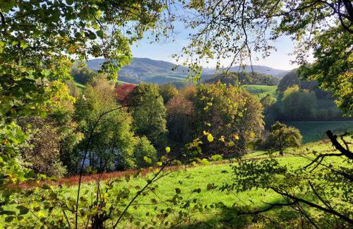 Gorxheimertal 92qm Allergikerfreundlich 2 Schlafzimmer 2 WC Terrasse - Foto 35