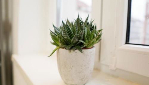 HOMY I Stilvolles Apartment Gohlis Netflix & W-LAN - Foto 5