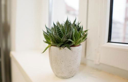 HOMY I Stilvolles Apartment Gohlis Netflix & W-LAN - Foto 5