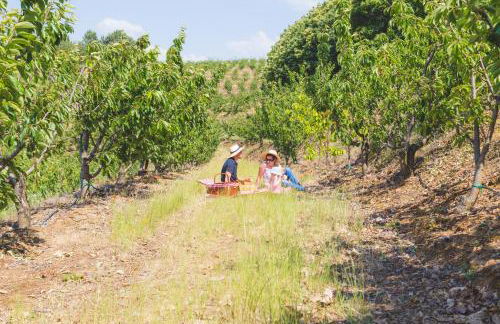 Quinta da Barroca Douro Valley - Foto 36