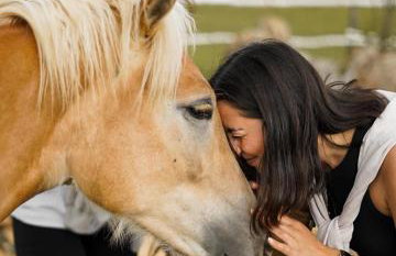 Forest Paradise - Foto 55