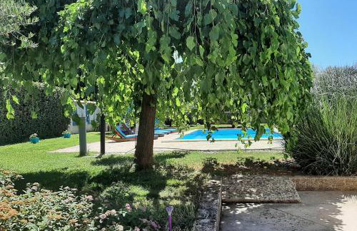 Apartment Tina - Foto 36