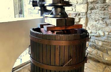 Il Torchio - Photo 29