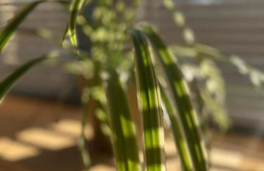 Trendy Barn Conversion Families & Groups Sleeps 8 Fibre WiFi - Photo 15