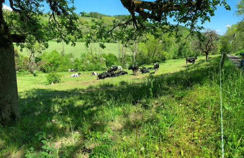 Stilvoll eingerichtetes Studio in historischem Bauernhaus, voll ausgestattet inmitten der Natur auf 75 qm - Foto 31
