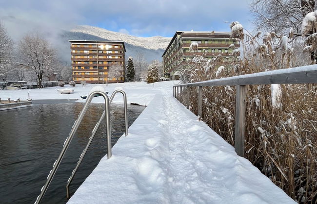 Seezugang & Ski Ossiacher See - Foto 2