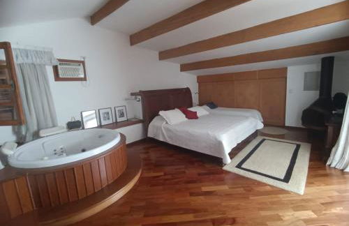 Refúgio dos pássaros - Foto 7