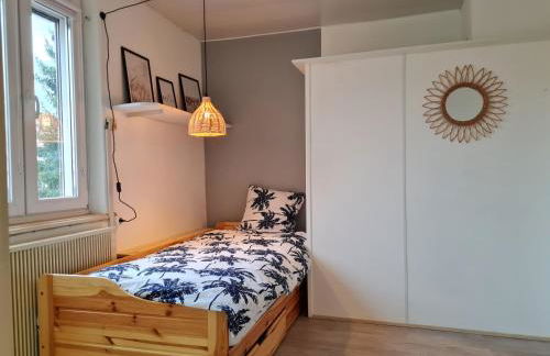 Les Chouchous du Ried 2 - Foto 11