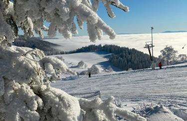 Brzozowa Osada - Foto 60