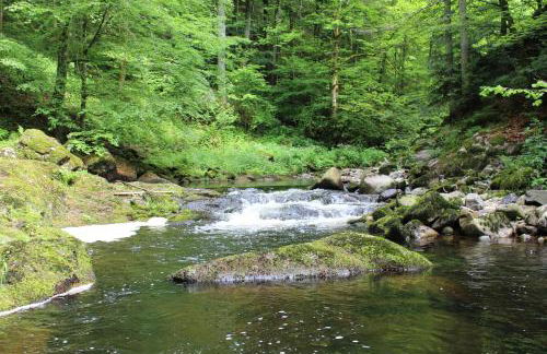 Ferienwohnung Hofleben Reiner - Foto 29