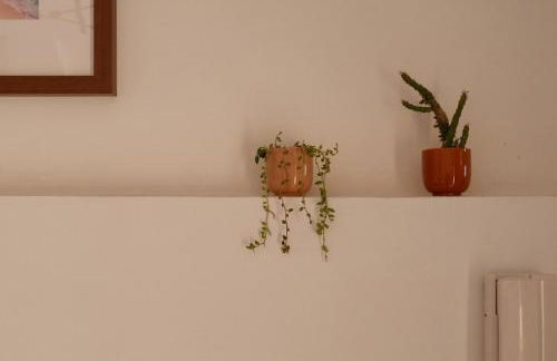 La Casina Massa - Foto 22