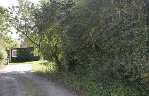 Ferienhaus Waldglück - Foto 14