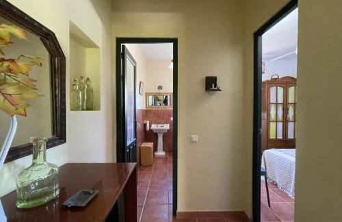 Finca Olivo Llorón - Foto 26