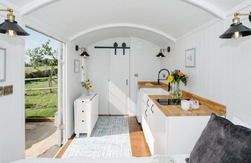 Shepherds Hut at Chenhall Farm - Photo 21