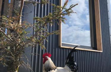 Tiny Home in Isle of Skye - Pet Friendly - Foto 84