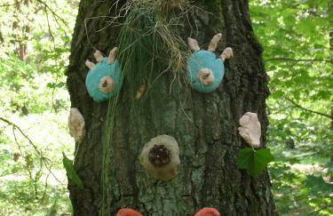 Toms Stuga Ferienwohnung - Foto 24