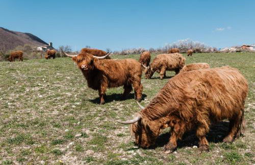 Da MammaMimma - Foto 32