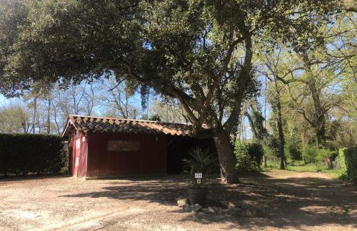 Maison à louer - Foto 5