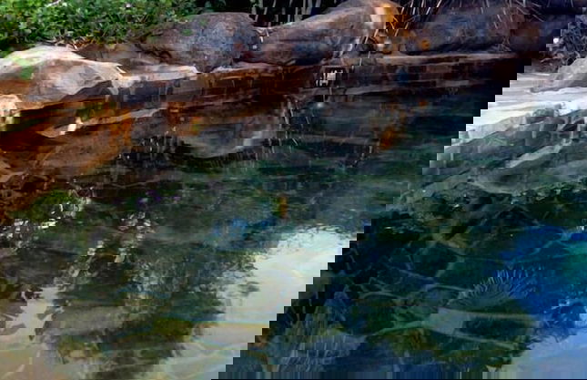 Atherton Holiday Park - Foto 5