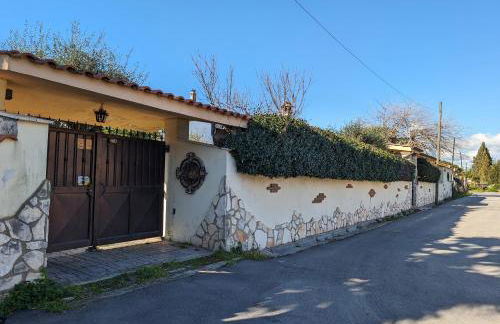 La Villetta del Gelso bianco - Foto 45