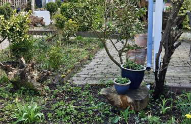 Bokelrehm 4 - Photo 12