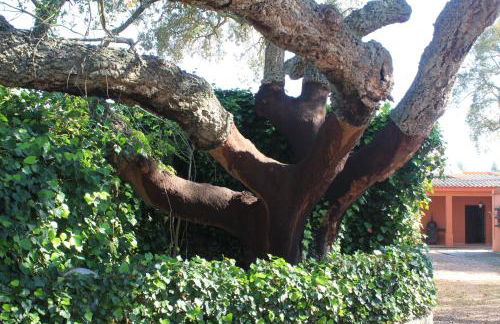 Casa do Sobro - Foto 39