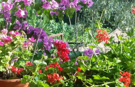 Casa Valenti - Foto 80