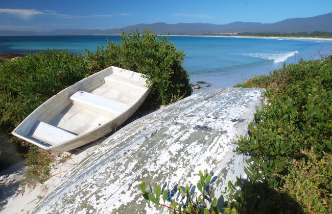 Seymour Waves - Photo 15