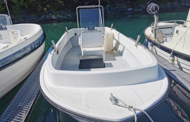 Blåbærhytta - Foto 23