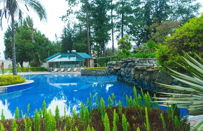 Torres de Suites by InAmazonas - Photo 23