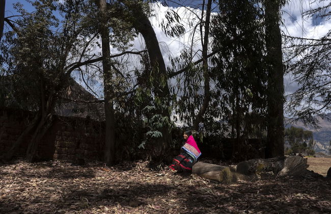 Andean Glamping - Foto 42