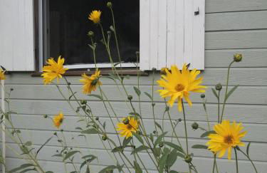 Le Chalet de Lilie - Foto 18