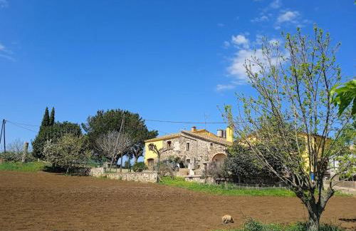 Apartament rural Can Ramon - Photo 15