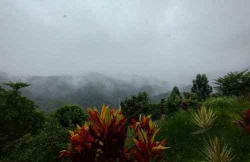 CHÁCARA DOMINGOS MARTINS - SANTO GRAAL - Montanhas, Corredeiras, Piscina, Natureza e Paz - Foto 53