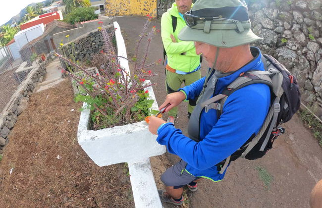 Senderismo por el interior del Parque Rural de Teno - Foto 9