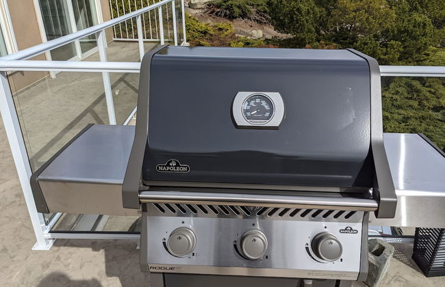 Stunning Views of the Okanagan Lake - Photo 41