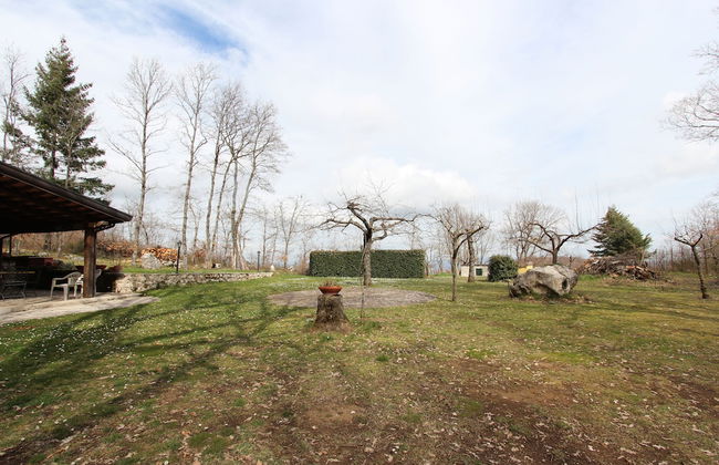 Giardino Boschivo - Foto 19