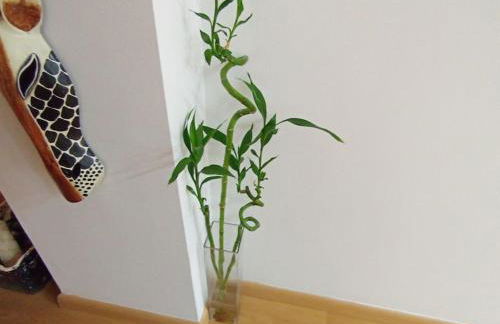 Ático Benalmádena Balam-Ui Sawon - Foto 61