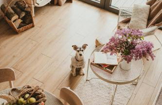 Między lasem, polem a jeziorem - domek na Mazurach - Foto 14