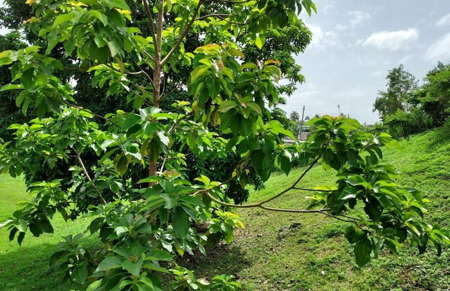 Confort y Relajacion - Foto 13