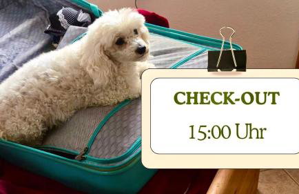 Hundeurlaub - Tiny House im Wald - Foto 19