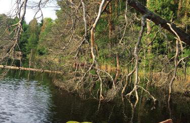 Dom Suwalszczyzna - Photo 42