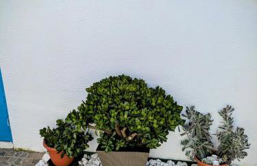 Mediterranean Chill House BBQ & Pools - Foto 22