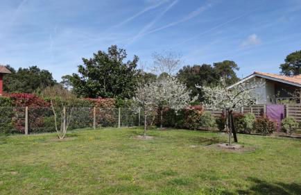 Villa Uhaina Sérénité Océane - Foto 24